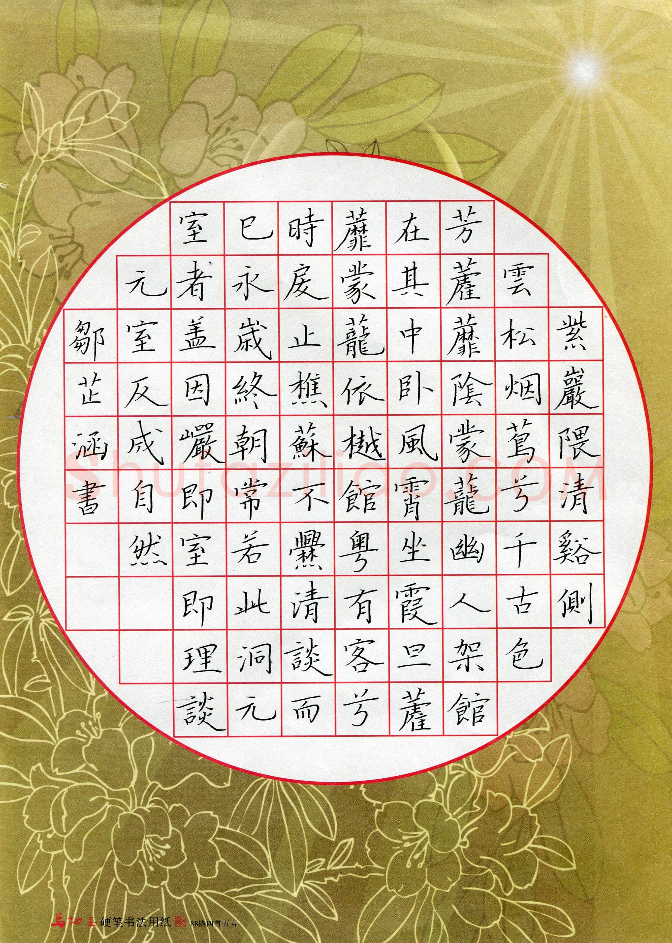 邹芷涵(少儿组 13岁 银奖)硬笔书法大赛获奖作品,邹芷涵硬笔书法作品