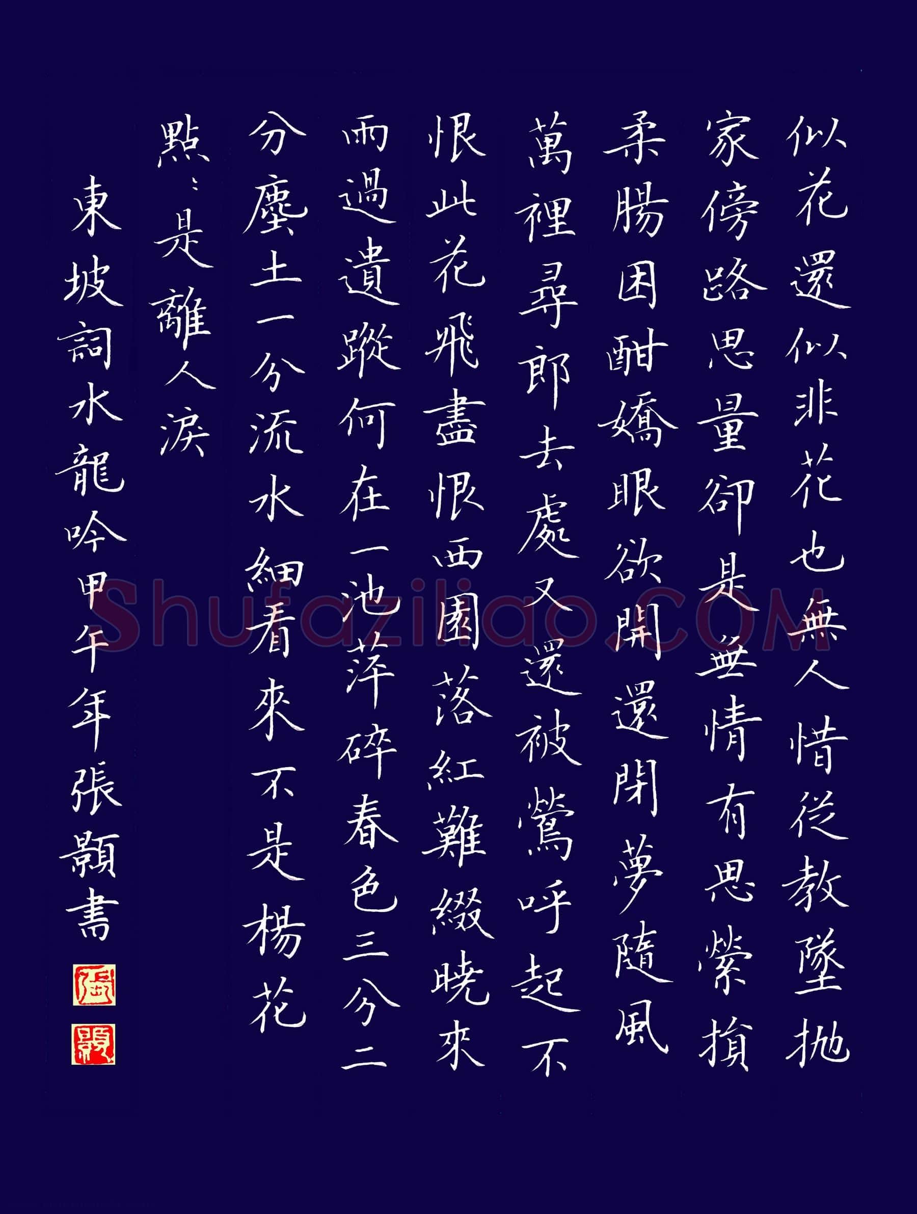 张颢硬笔楷书东坡词水龙吟一首,张颢硬笔书法作品