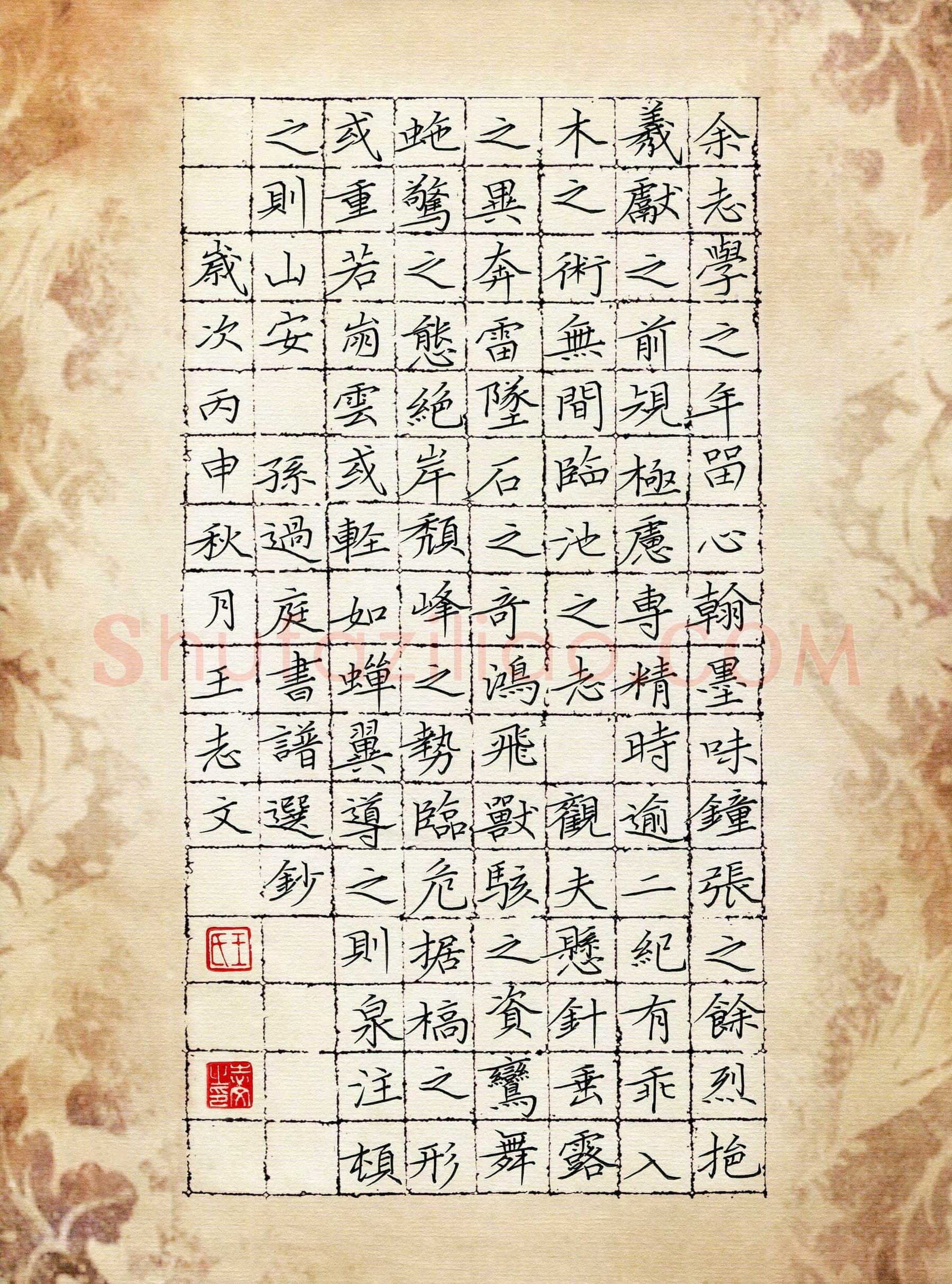 王志文硬笔楷书孙过庭书谱选抄,硬笔书法作品