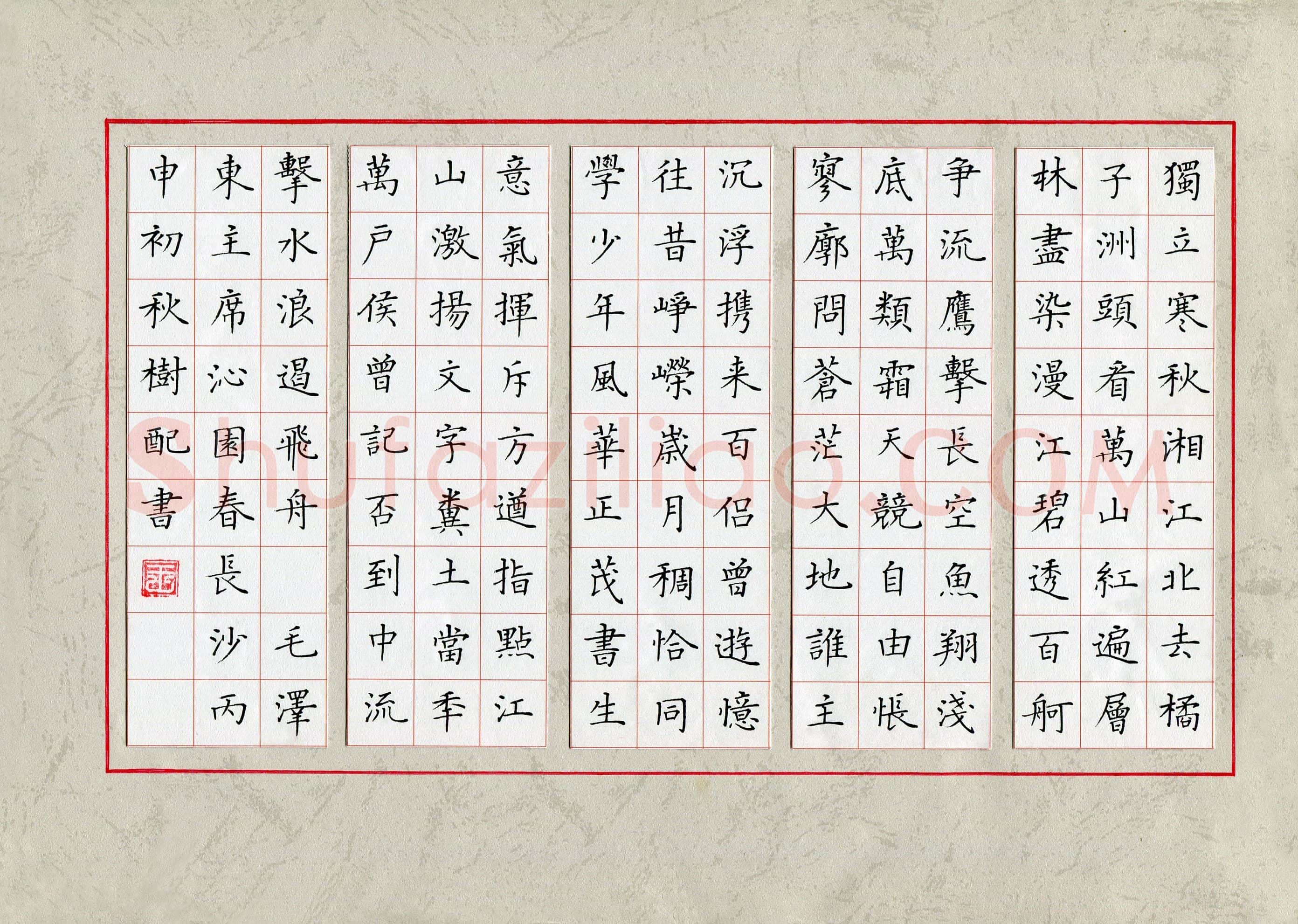 王树配(成人组)硬笔书法大赛入围作品选登,王树配硬笔书法作品