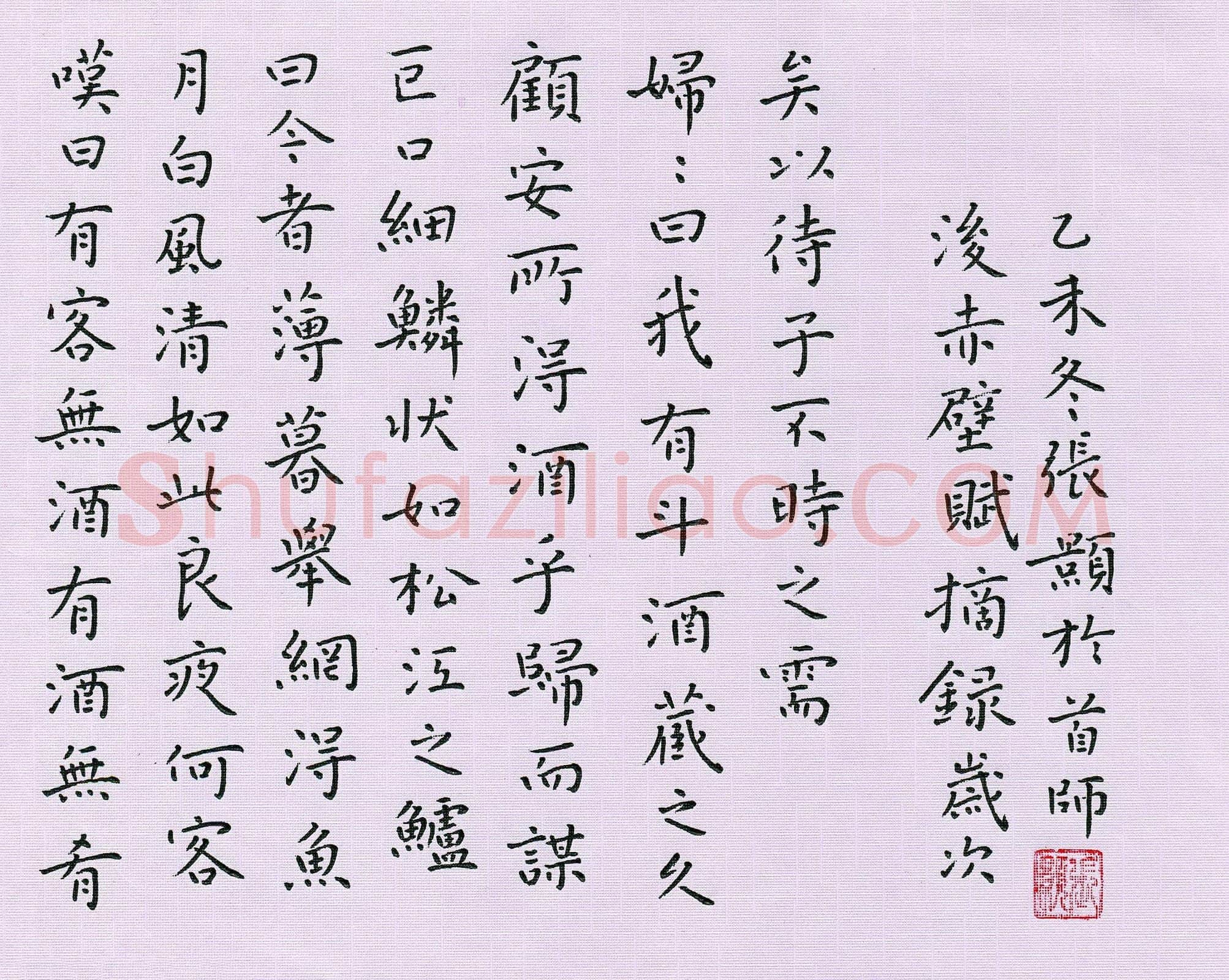 张颢硬笔楷书后赤壁赋摘录,张颢硬笔书法作品