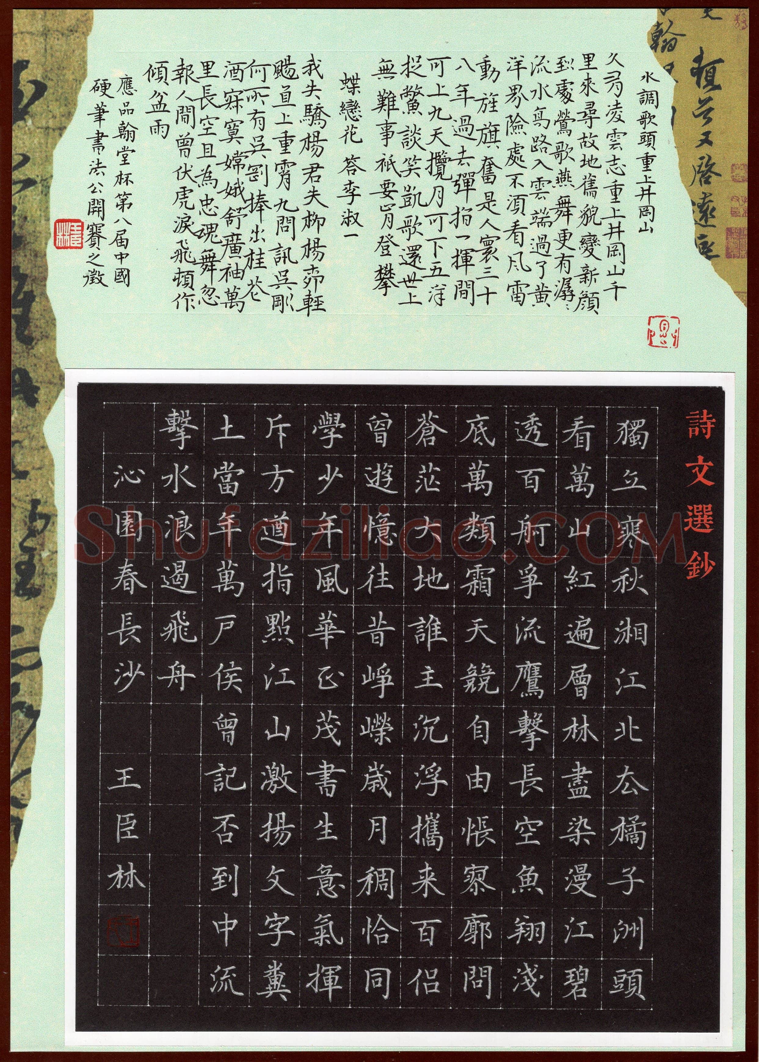 王臣林(楷书 优秀奖)硬笔书法大赛获奖作品,王臣林硬笔书法作品