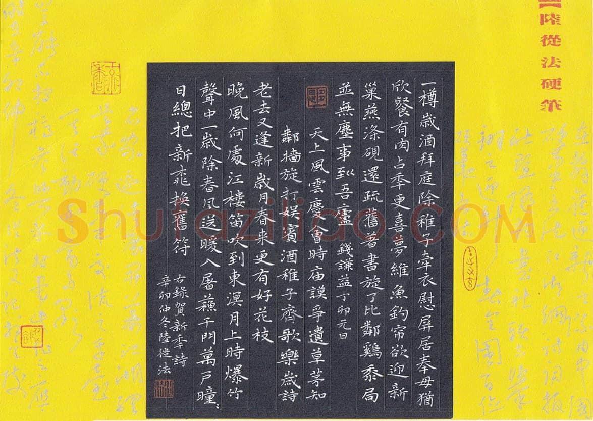 陆从法硬笔楷书贺新年诗,陆从法硬笔书法作品