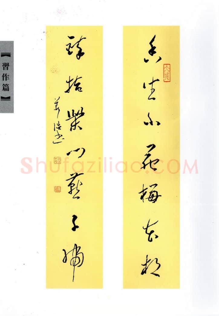姜浩硬笔行书七言联,姜浩硬笔书法作品