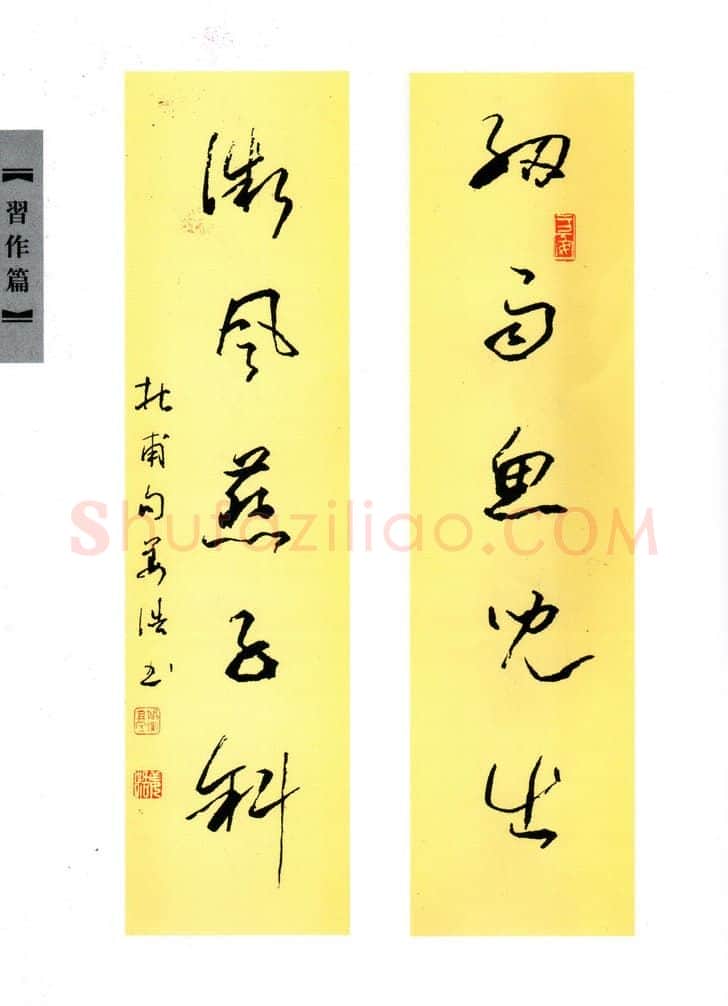 姜浩硬笔行草杜甫句,姜浩硬笔书法作品
