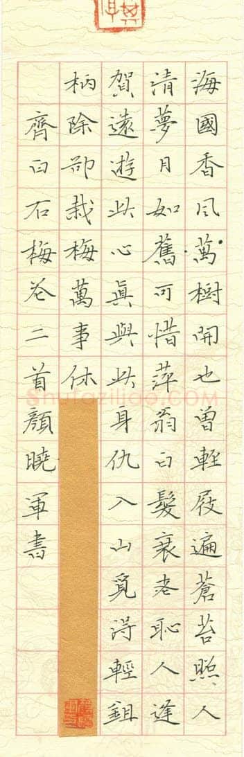 颜晓军硬笔楷书齐白石梅花二首,颜晓军硬笔书法作品