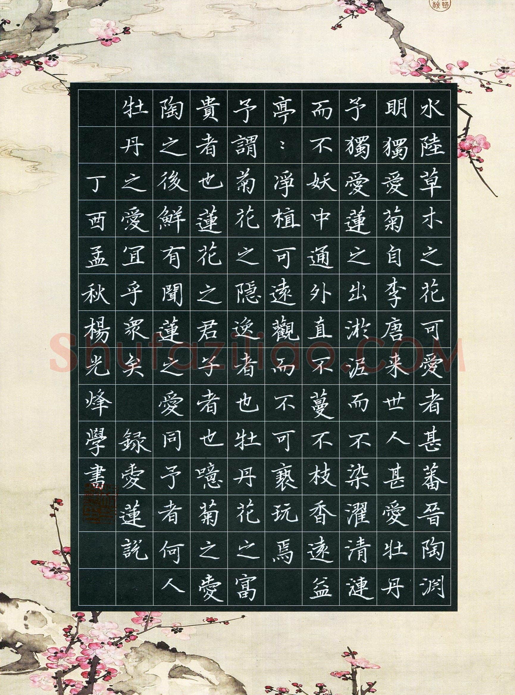 杨光烽(成人组 优秀奖)硬笔书法大赛获奖作品,杨光烽硬笔书法作品