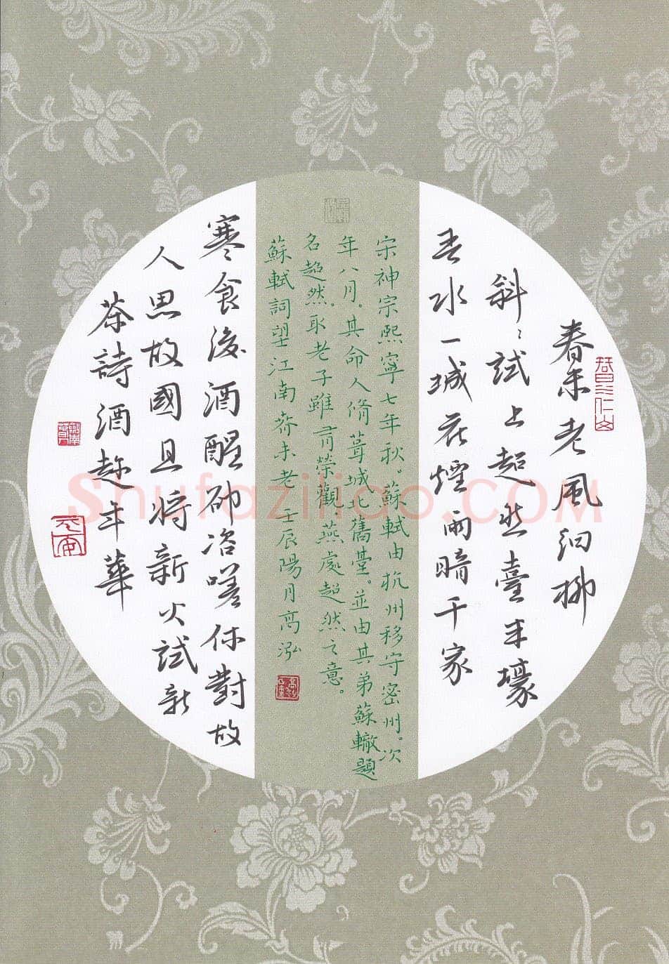 高泓硬笔楷书苏轼词望江南,高泓硬笔书法作品