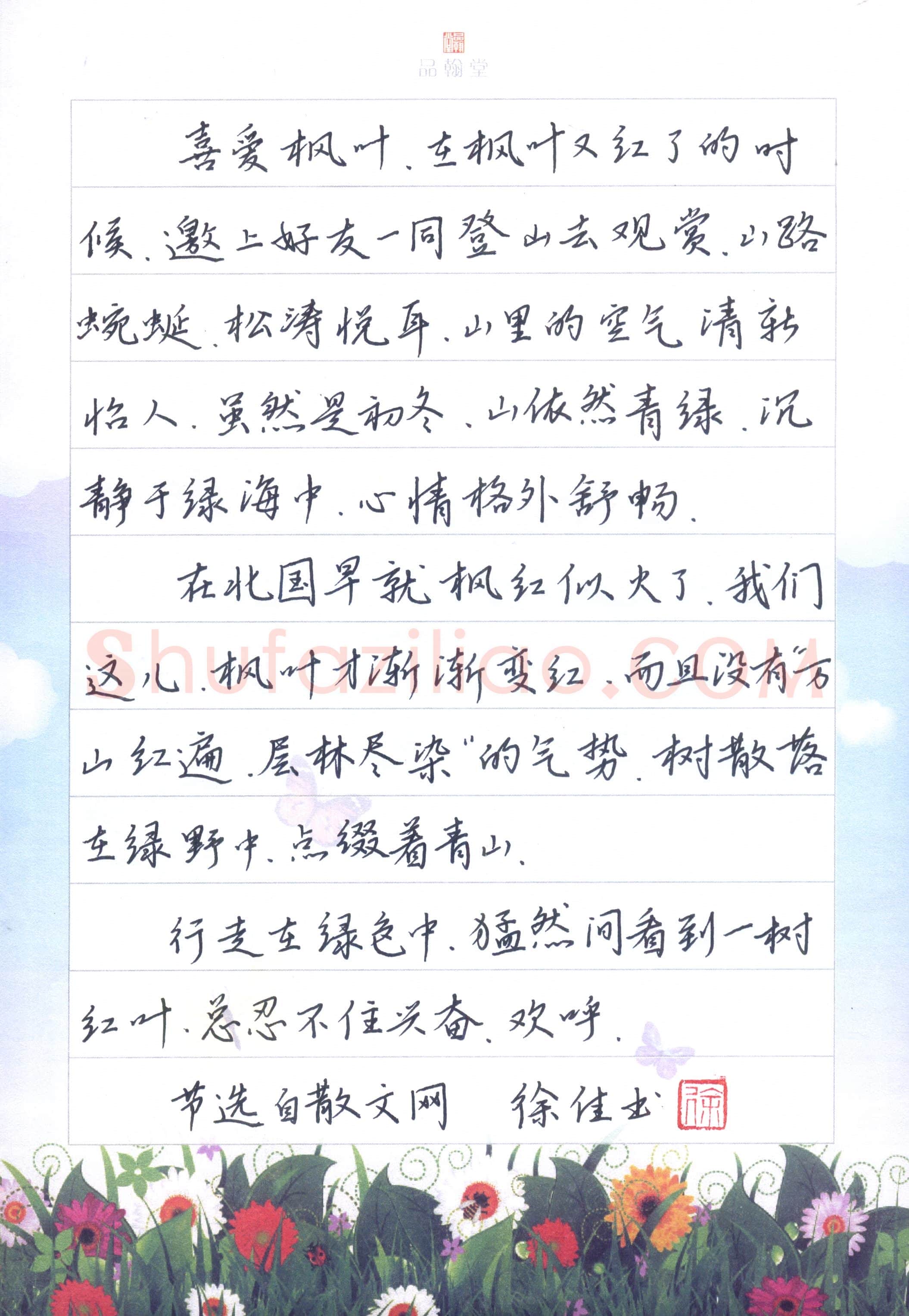 徐佳(少儿组 13岁)硬笔书法大赛入围作品选登,徐佳硬笔书法作品