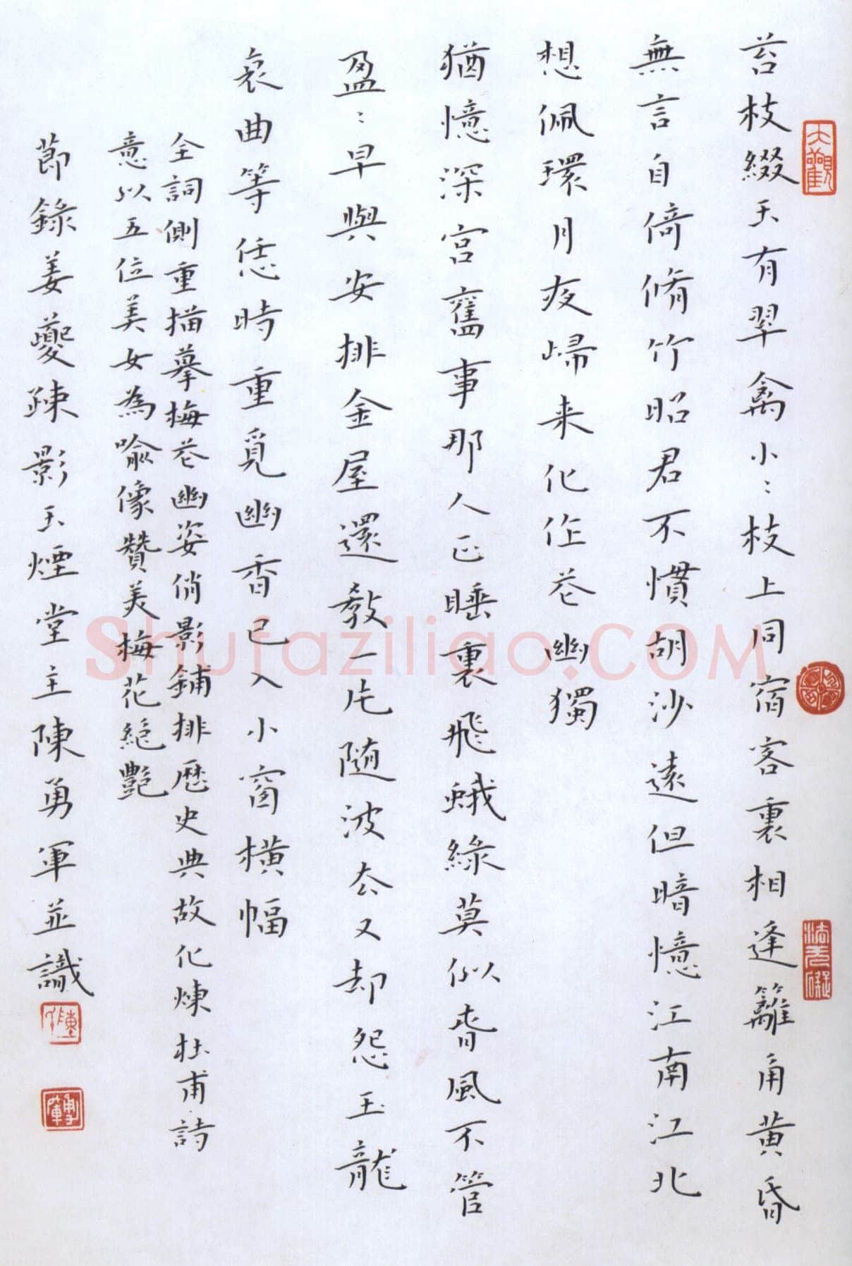 陈勇军硬笔楷书姜夔词疏影节录 硬笔书法作品欣赏