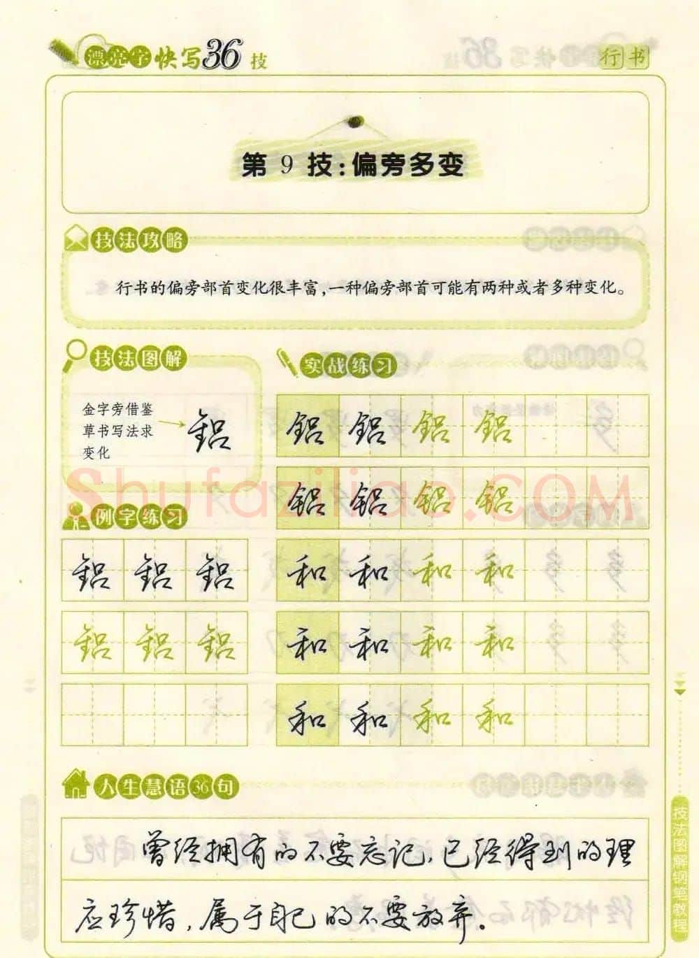 荆霄鹏钢笔行书字帖《漂亮字快写36技》 | 钢笔书法字帖