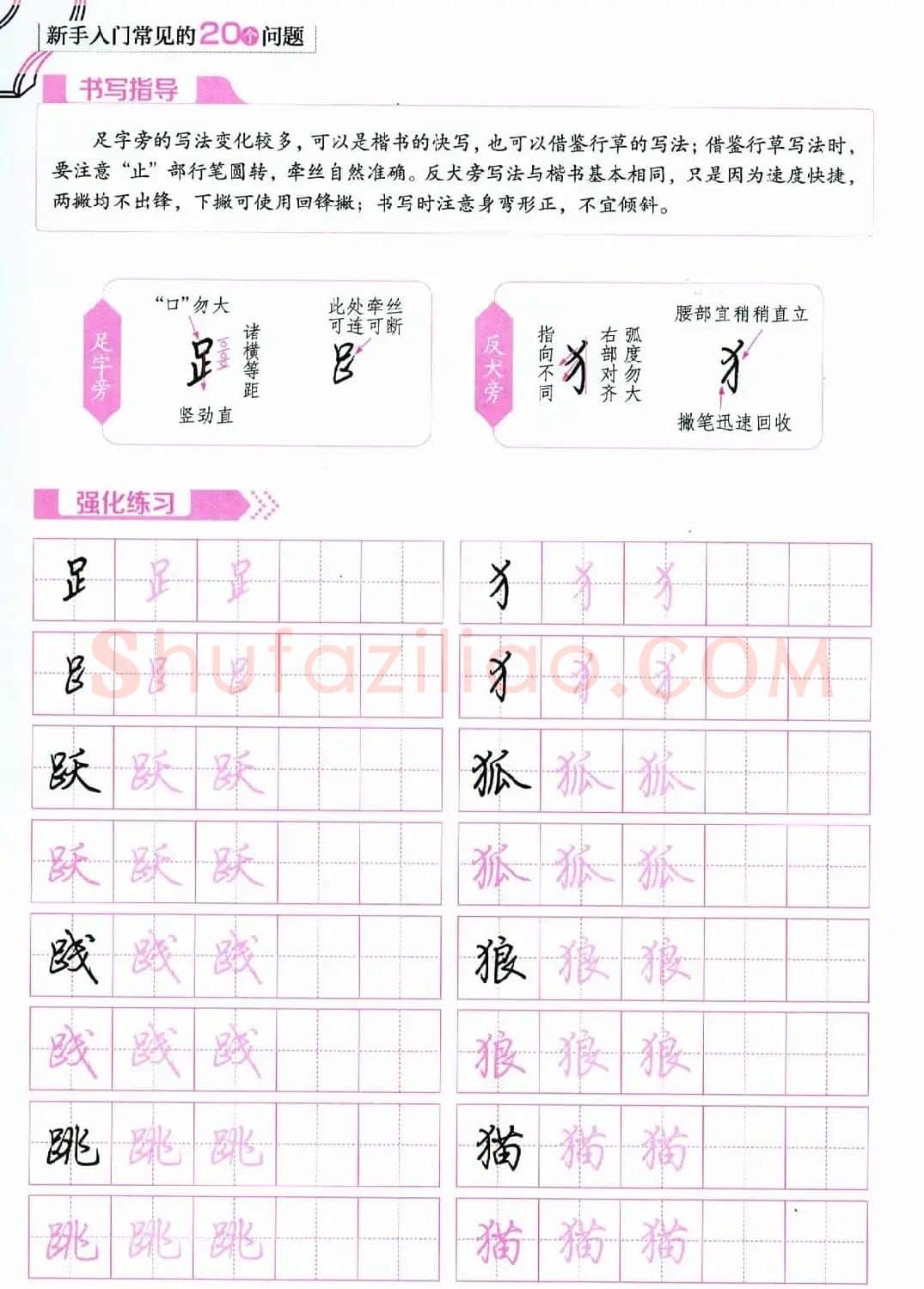 荆霄鹏硬笔行楷字帖《新手入门常见的20个问题》 | 硬笔书法字帖
