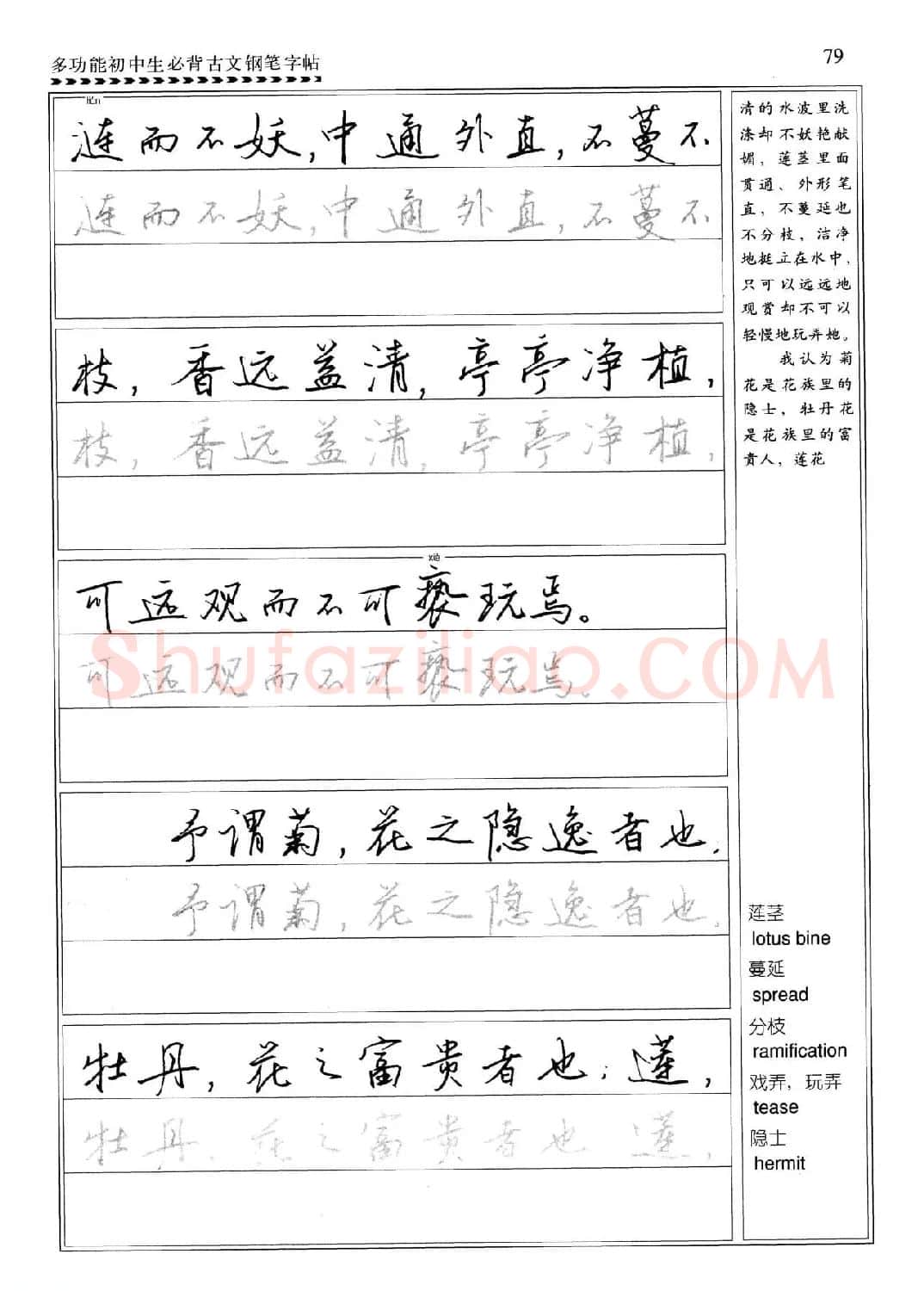 任平钢笔行书字帖《初中生必背古文》 | 硬笔书法字帖