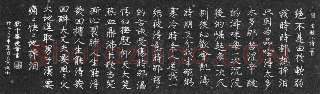 庞中华硬笔行书自题小诗一首,庞中华硬笔书法作品