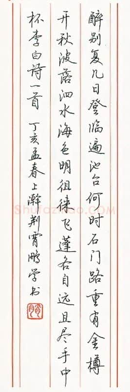 荆霄鹏硬笔楷书岑参诗与高适薛据登慈恩寺浮图 硬笔书法作品欣赏