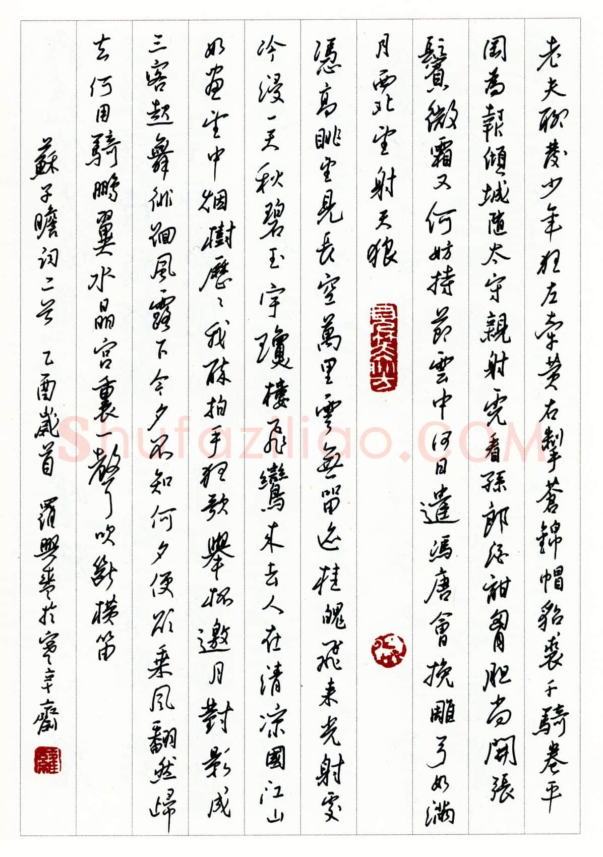 罗兴盛硬笔录苏子瞻词二首 硬笔书法作品欣赏
