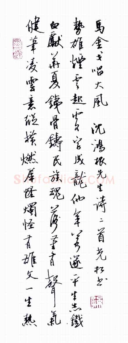 孙光松硬笔行书沈鸿根诗一首,孙光松硬笔书法作品