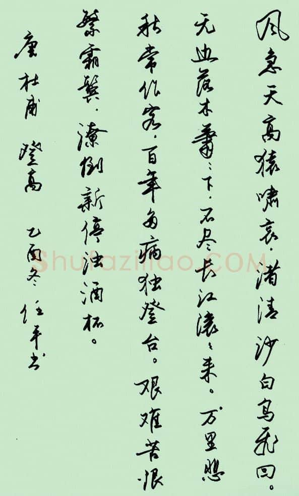 任平硬笔行书杜甫诗登高,任平硬笔书法作品