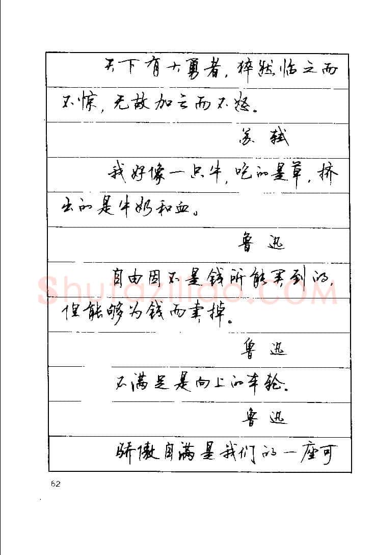 顾仲安硬笔楷书字帖,摘自顾仲安《罗兰小语》行楷字帖
