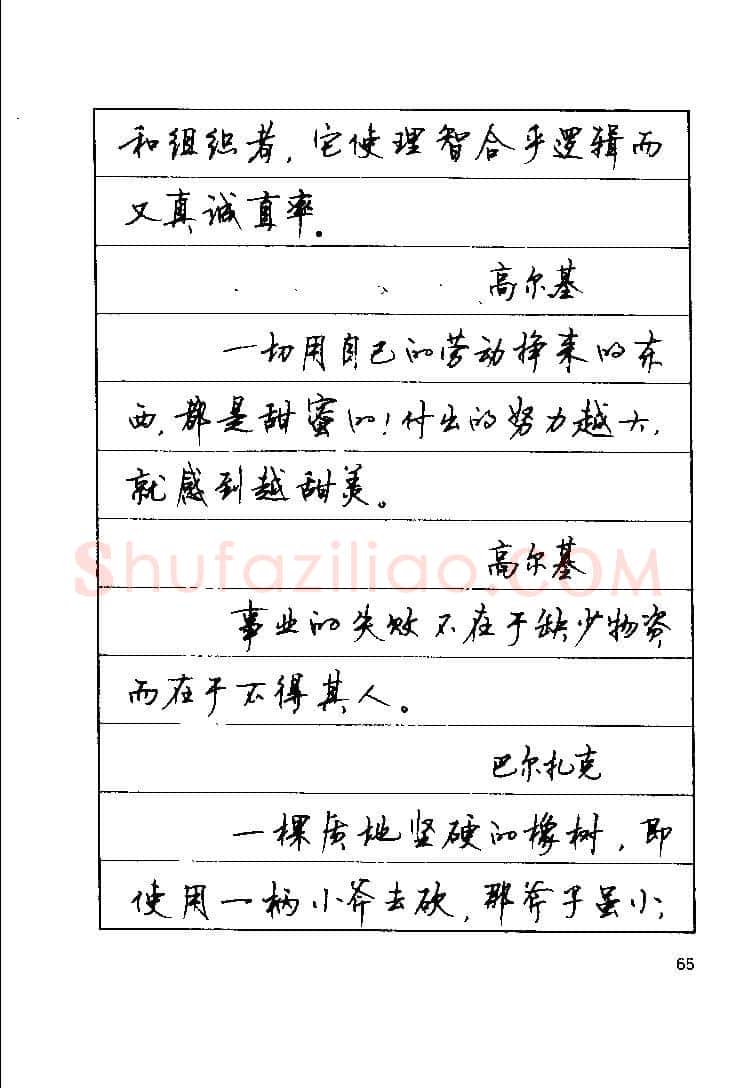 顾仲安硬笔楷书字帖,摘自顾仲安《罗兰小语》行楷字帖