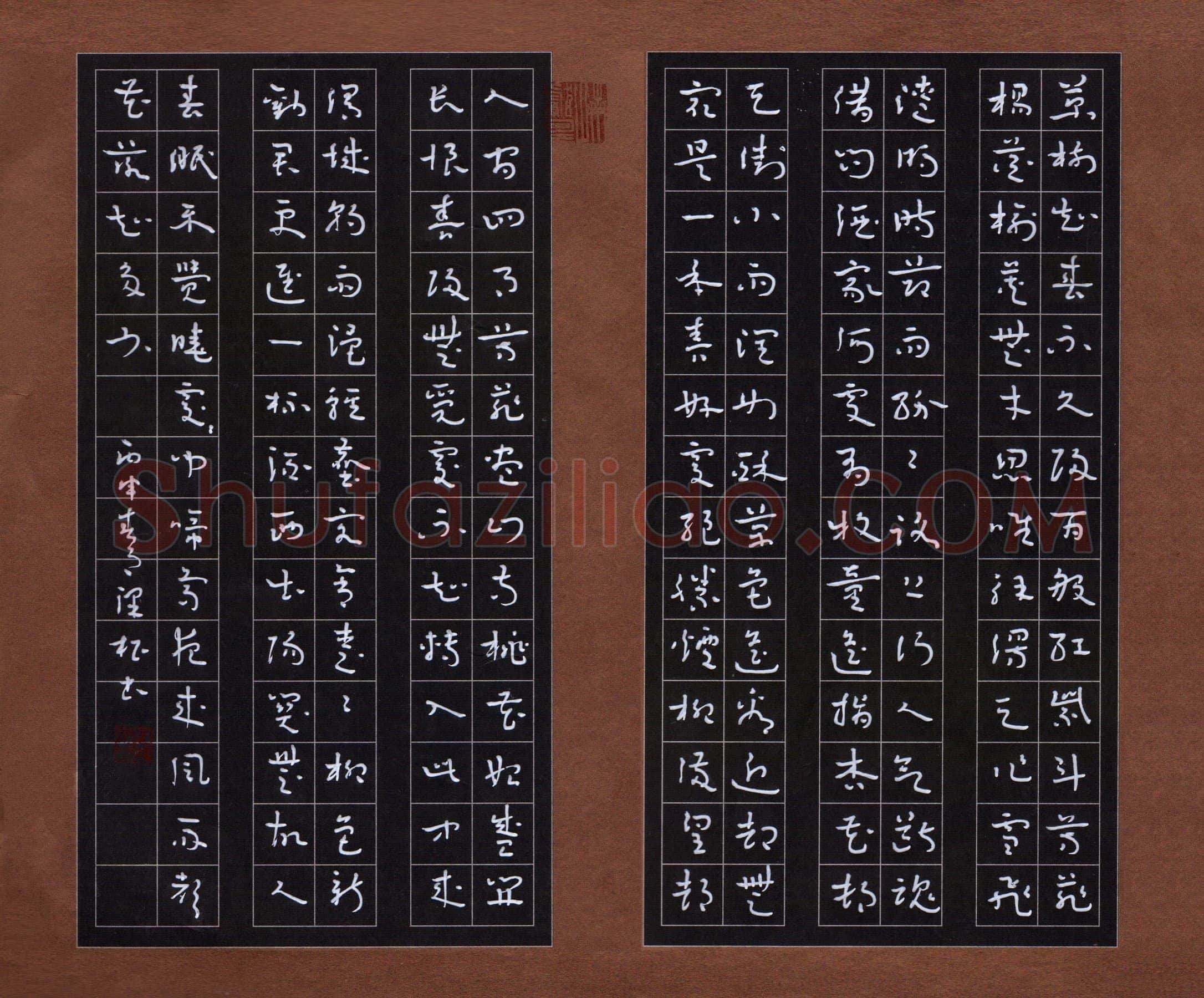 王泽松硬笔章草古诗选抄,王泽松硬笔书法作品