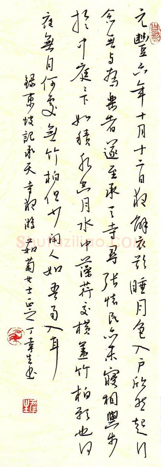 丁幸生硬笔行书东坡诗,丁幸生硬笔书法作品