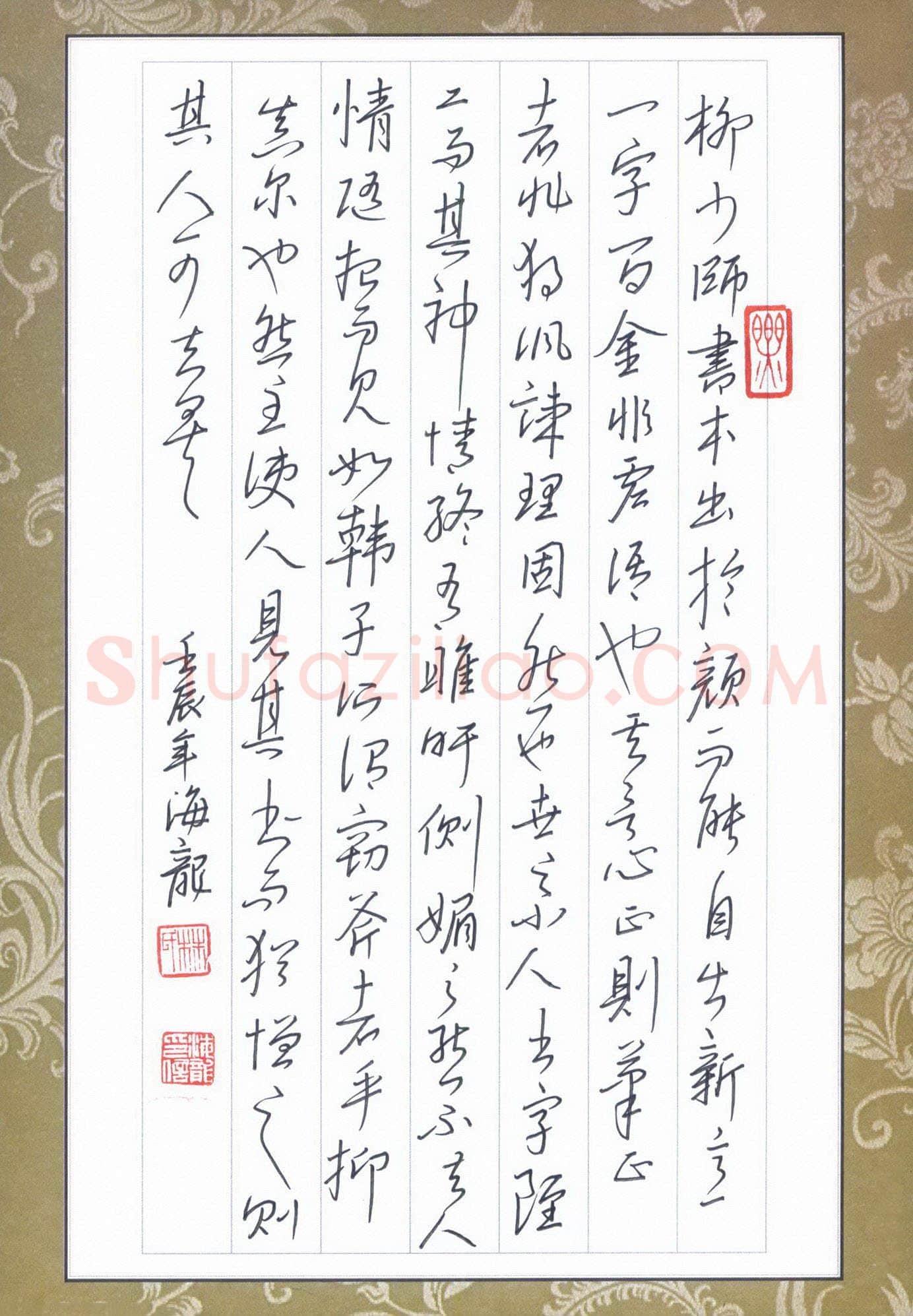 林海龙硬笔行书书论选抄柳少师书,林海龙硬笔书法作品