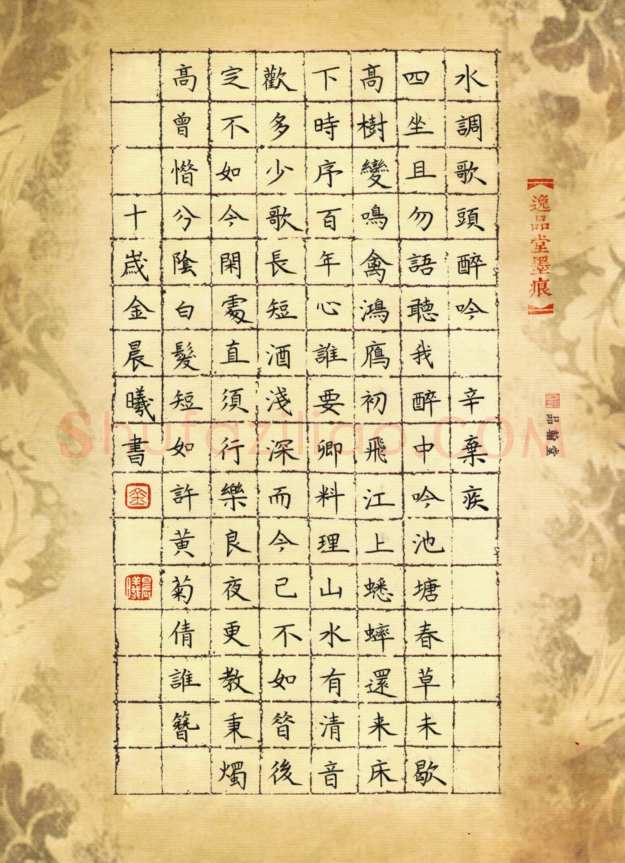 金晨曦(少儿组 10岁)硬笔书法大赛入围作品选登,金晨曦硬笔书法作品