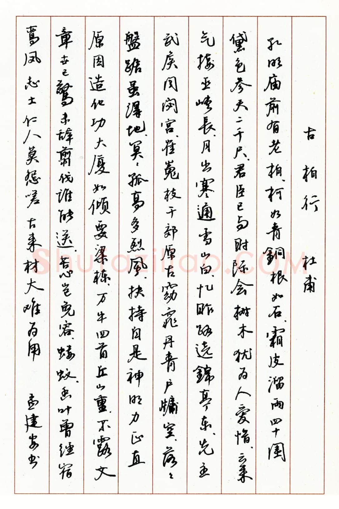 孟建安硬笔行书杜甫诗古柏行 硬笔书法作品欣赏