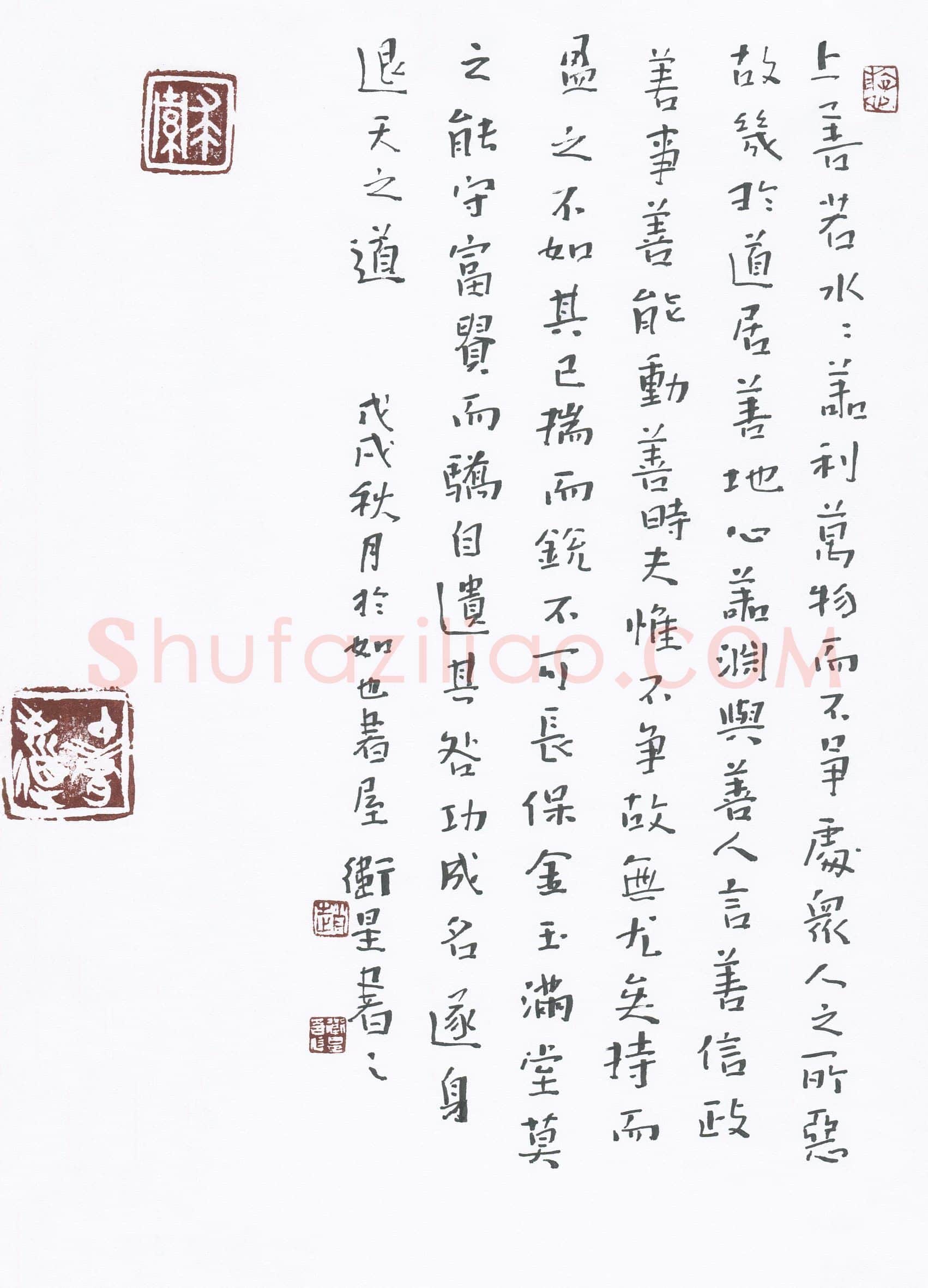 赵卫星(成人组 银奖)硬笔书法大赛获奖作品,赵卫星硬笔书法作品