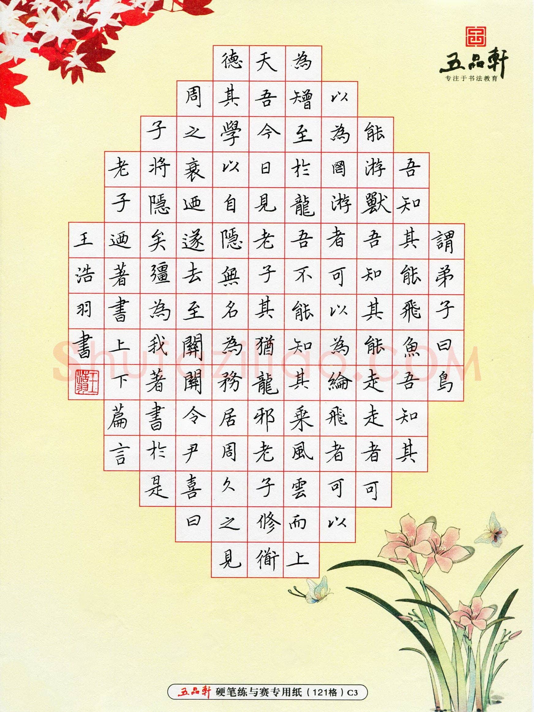 王浩羽(少儿组 15岁 金奖)硬笔书法大赛获奖作品,王浩羽硬笔书法作品