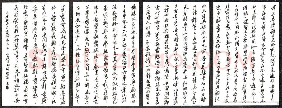 毛伟晓硬笔节录孙过庭书谱序文 硬笔书法作品欣赏