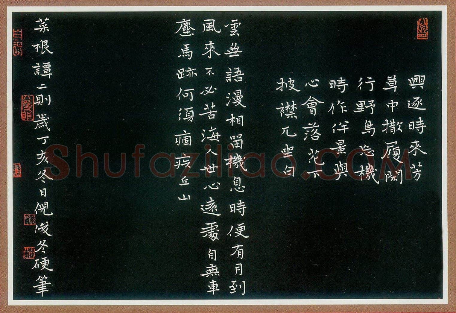 倪俊冬硬笔楷书红楼梦诗选 硬笔书法作品欣赏