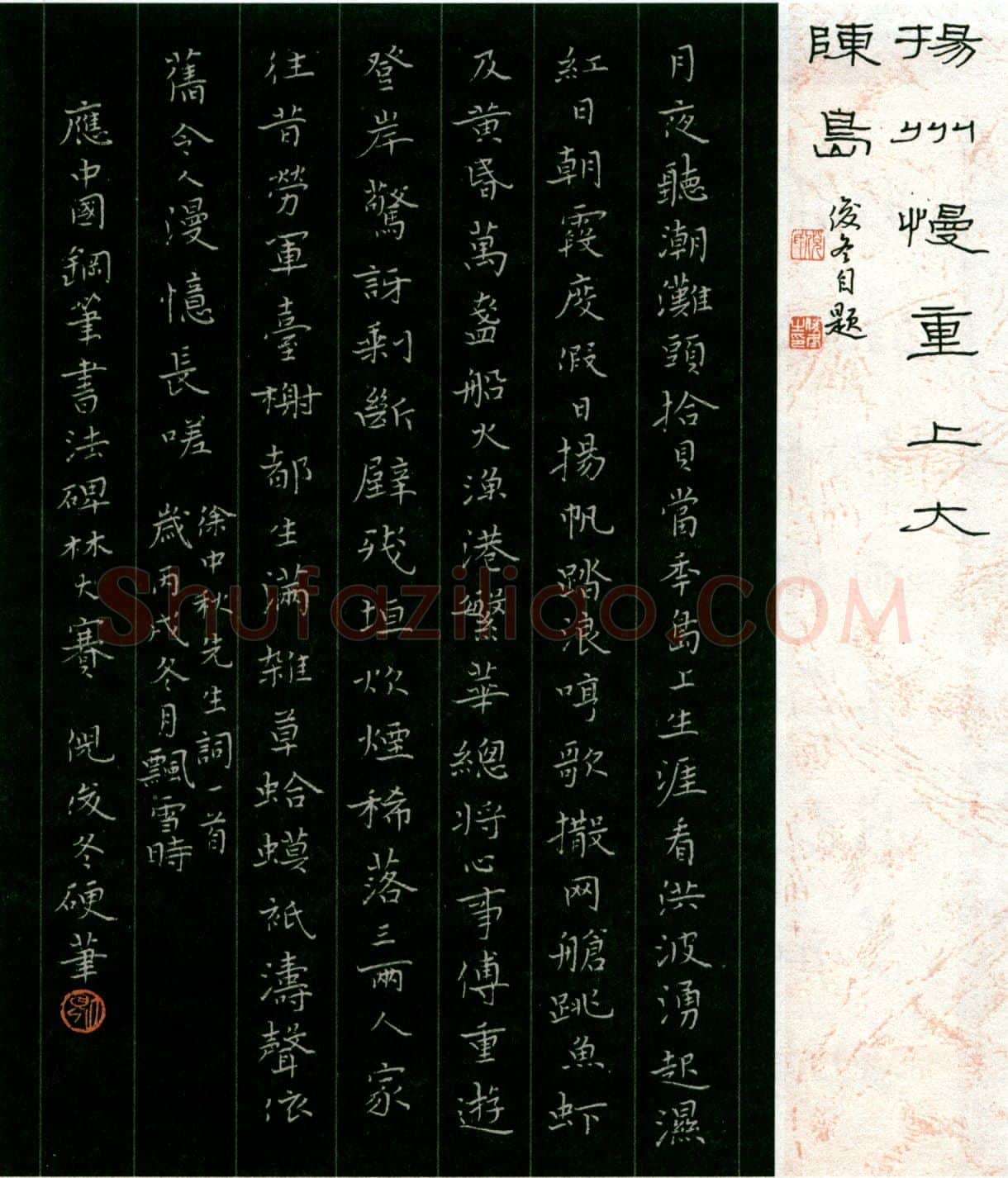 倪俊冬硬笔楷书红楼梦诗选 硬笔书法作品欣赏