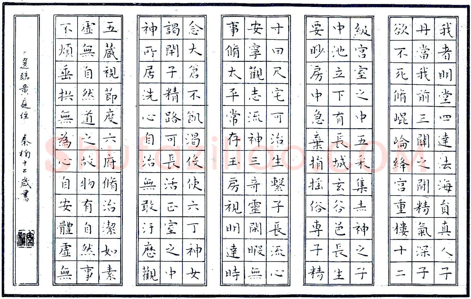 秦楠硬笔节临黄庭经 硬笔书法作品欣赏