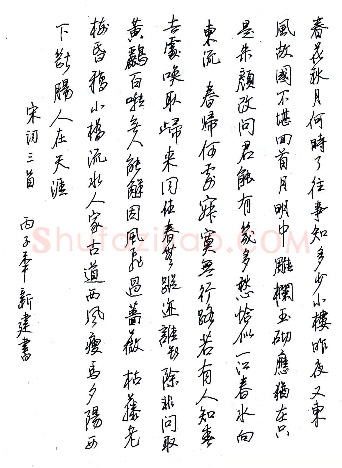 苏新建硬笔录宋词三首 硬笔书法作品欣赏