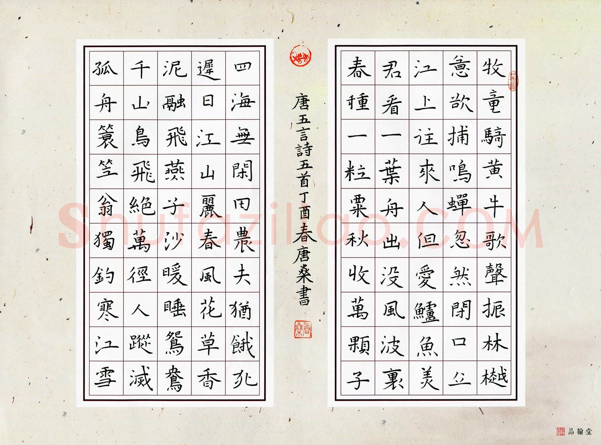 唐燊(少儿组 12岁 金奖)硬笔书法大赛获奖作品,唐燊硬笔书法作品