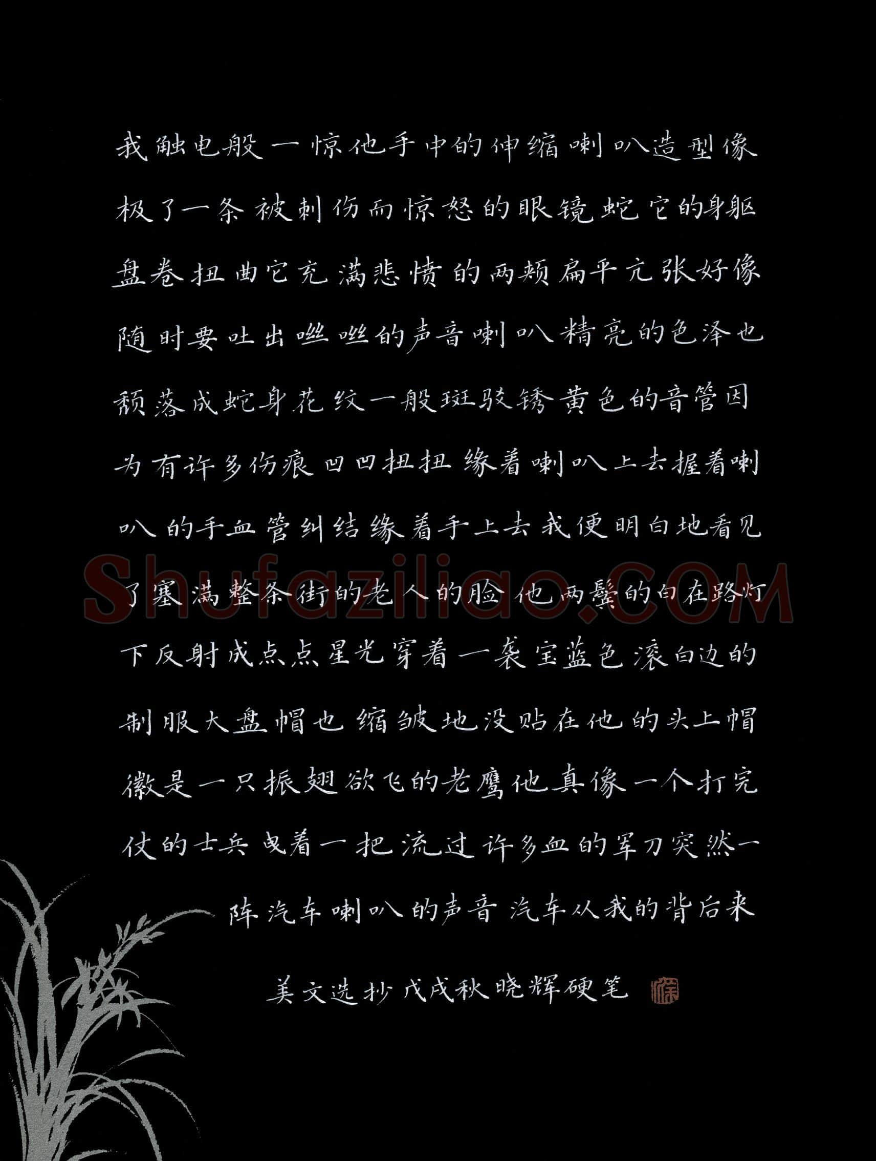 徐晓辉(成人组 优秀奖)硬笔书法大赛获奖作品,徐晓辉硬笔书法作品