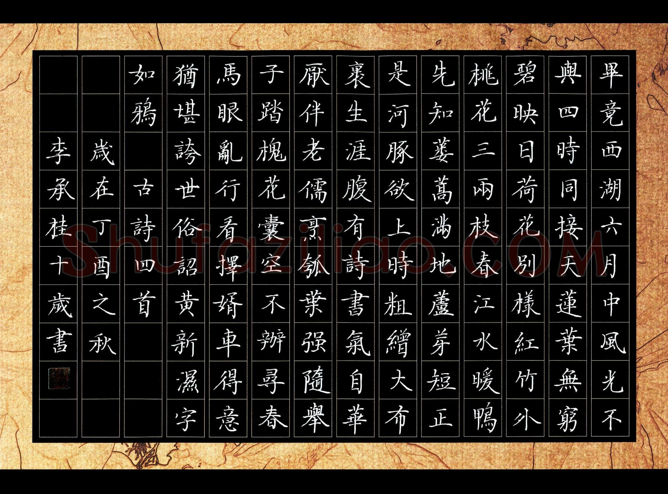 李承桂(少儿组 10岁 金奖)硬笔书法大赛获奖作品,李承桂硬笔书法作品