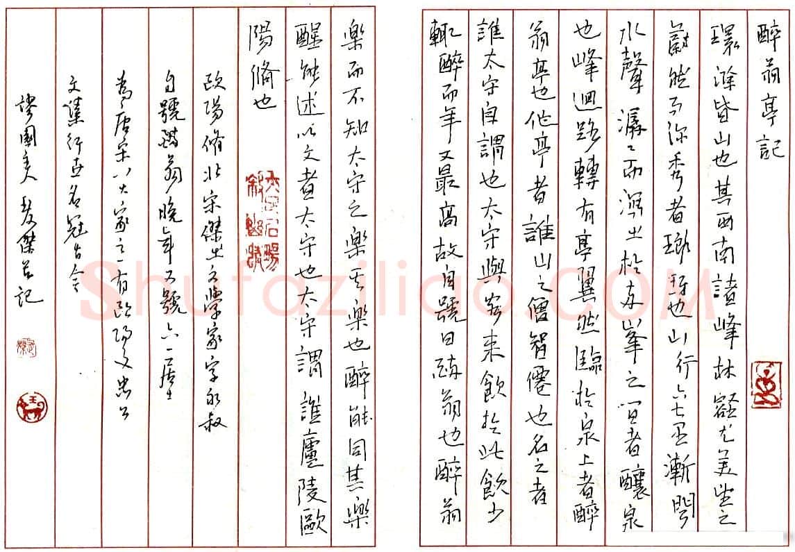 王友杰硬笔录醉翁亭记 硬笔书法作品欣赏