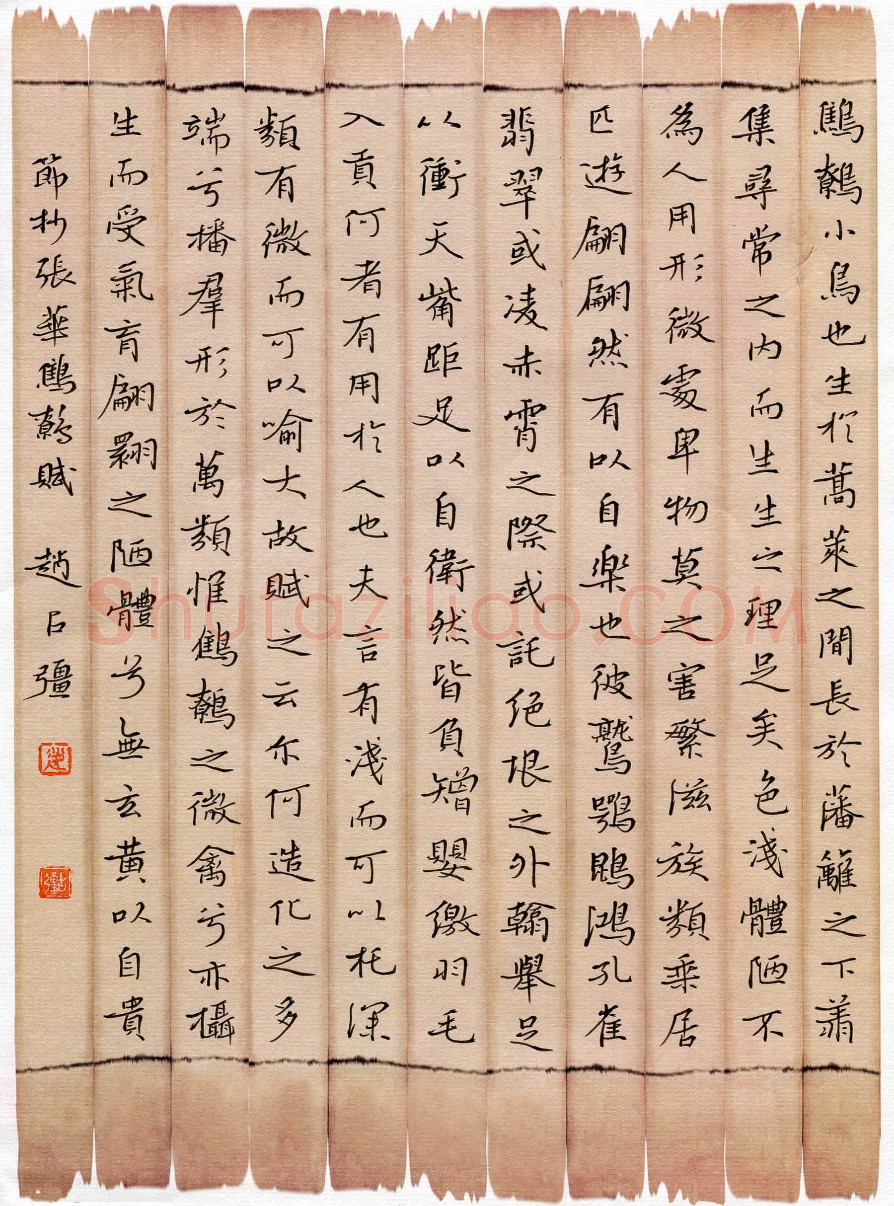 赵占强硬笔楷书节录张华鹪鹩赋,赵占强硬笔书法作品