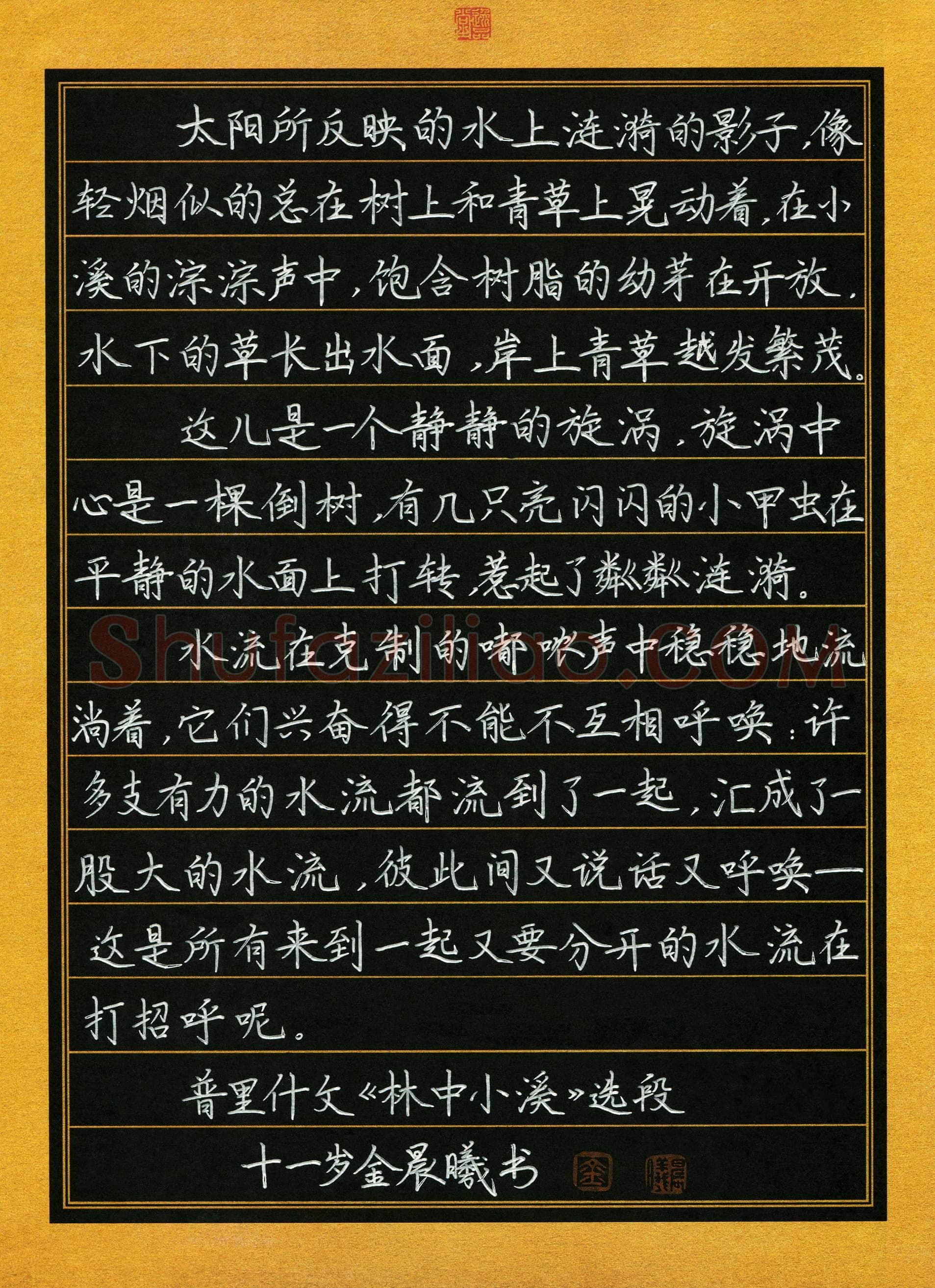 金晨曦(少儿组 11岁 特等奖)硬笔书法大赛获奖作品,金晨曦硬笔书法作品