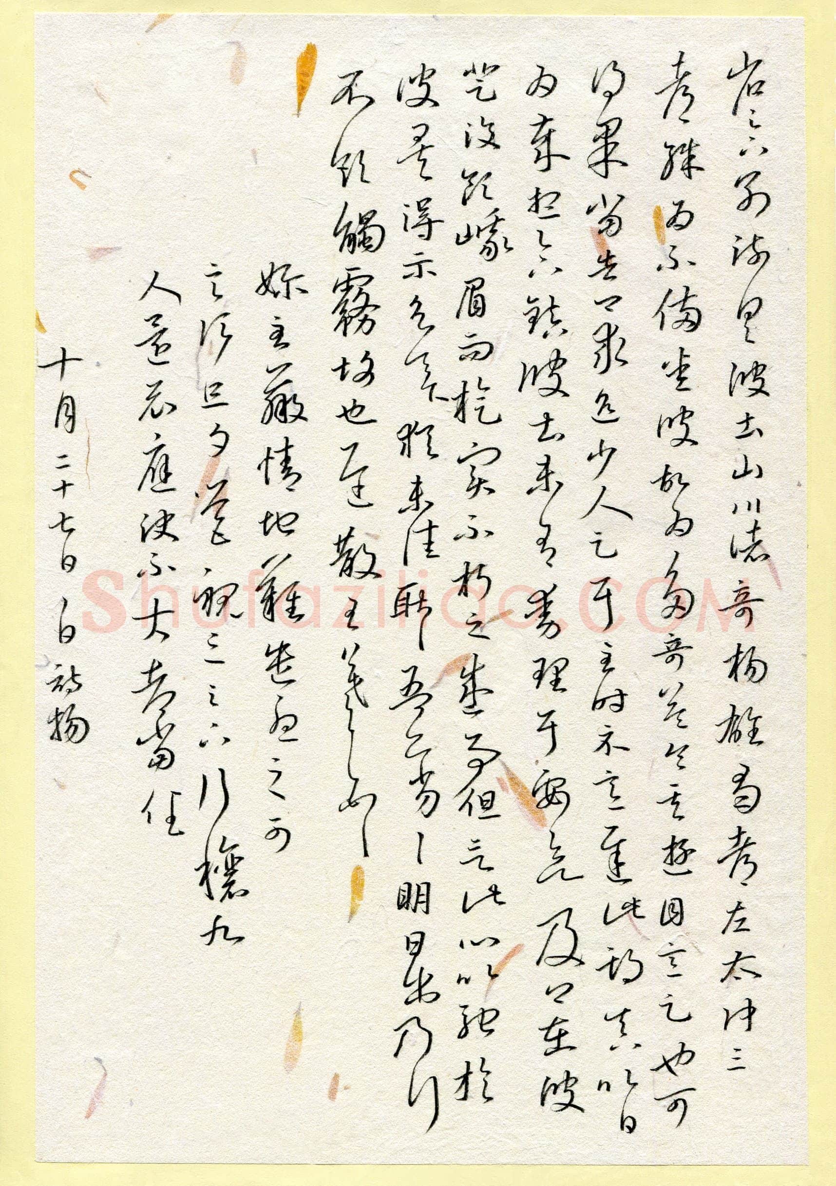 白诗扬(少儿组 17岁 特等奖)硬笔书法大赛获奖作品,白诗扬硬笔书法作品
