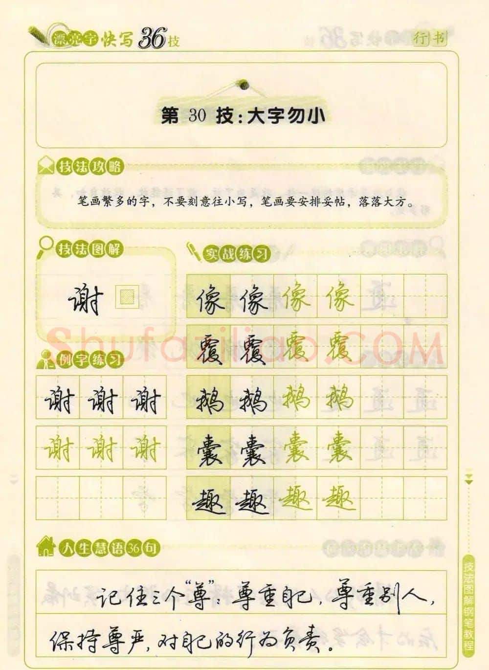 荆霄鹏钢笔行书字帖《漂亮字快写36技》 | 钢笔书法字帖