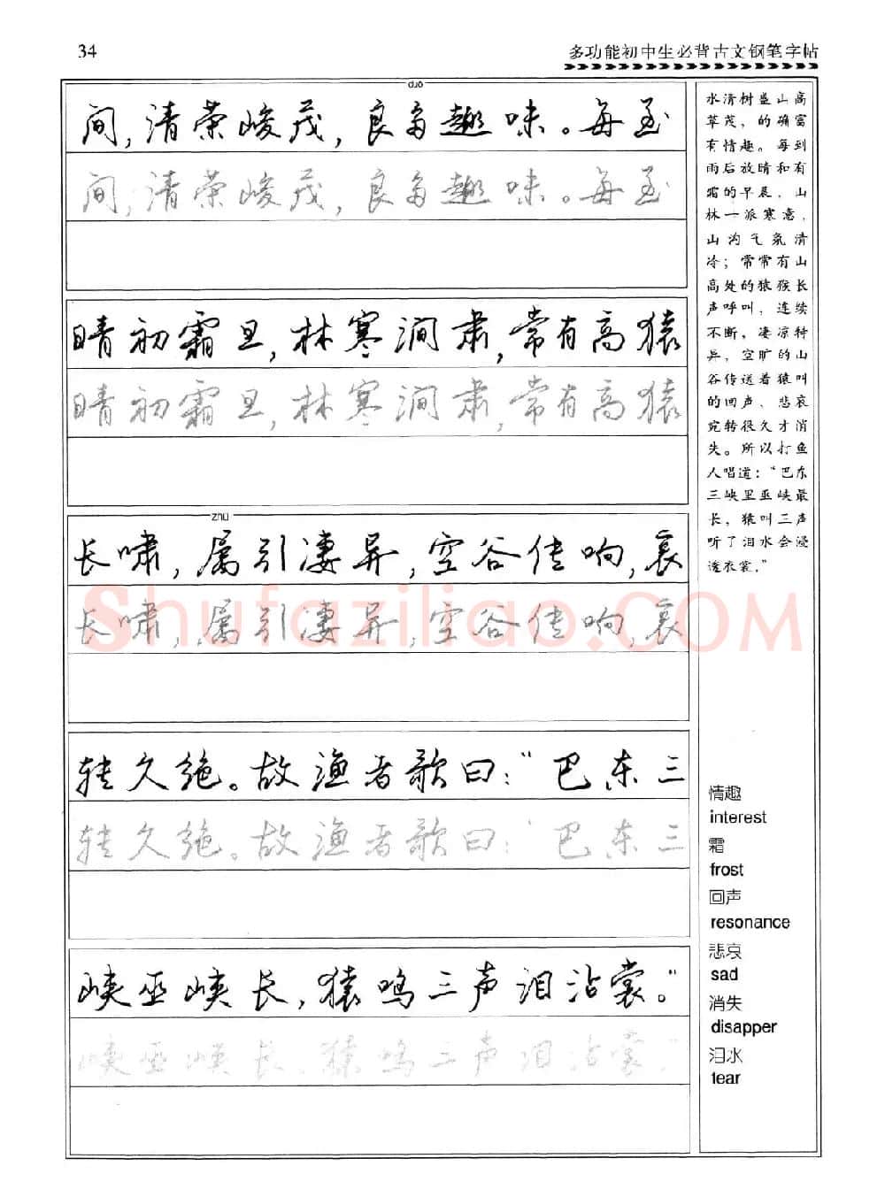 任平钢笔行书字帖《初中生必背古文》 | 硬笔书法字帖
