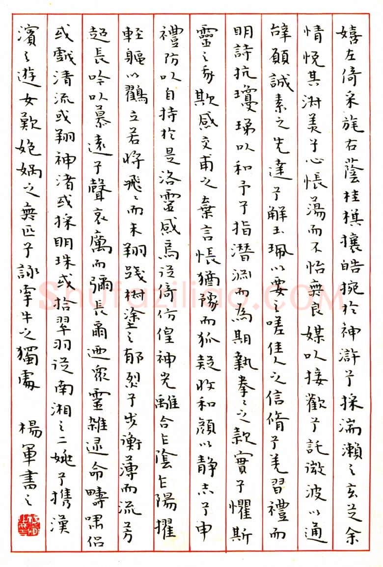 杨军硬笔楷书洛神赋 硬笔书法作品欣赏