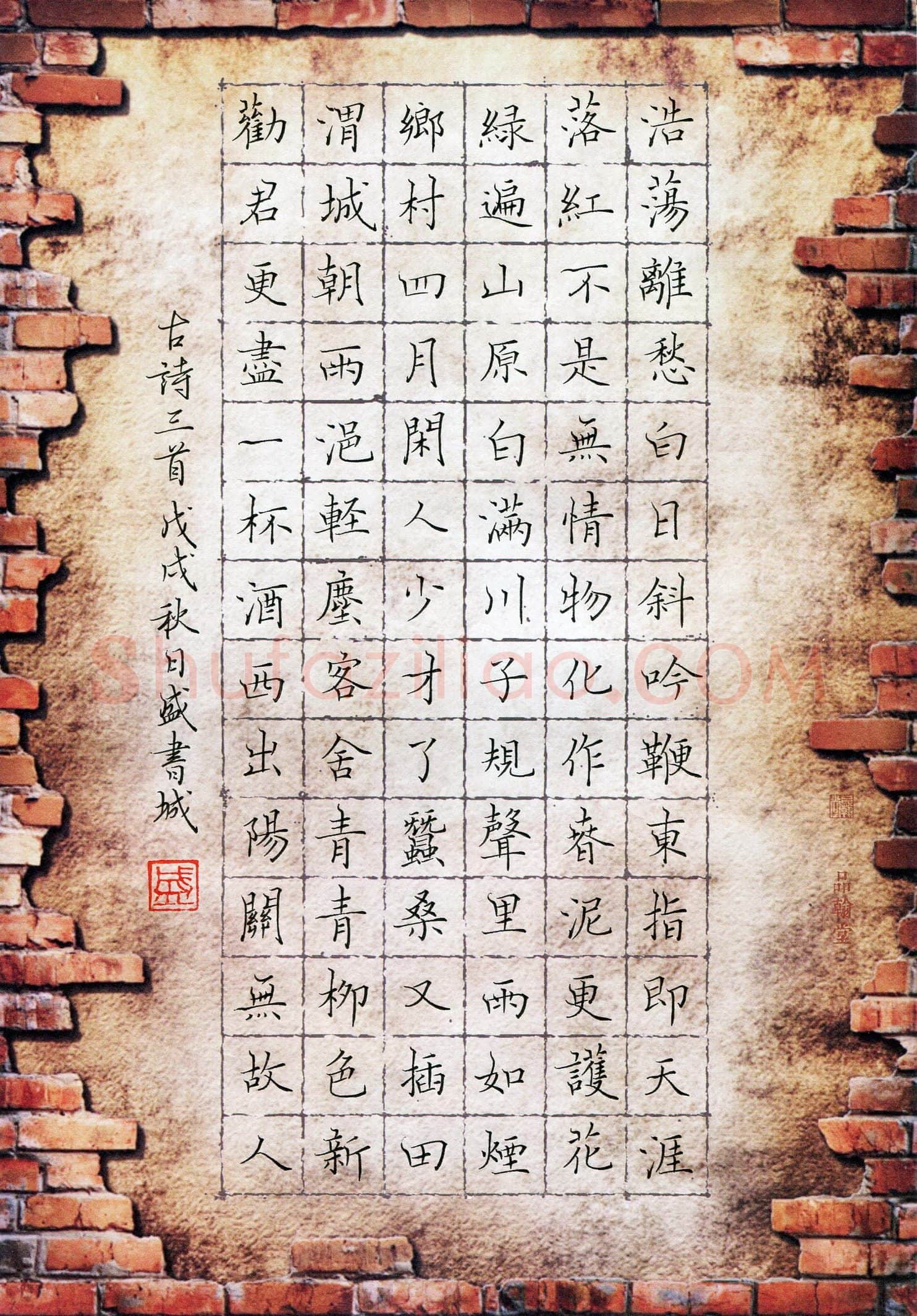 盛书城(成人组 优秀奖)硬笔书法大赛获奖作品,盛书城硬笔书法作品