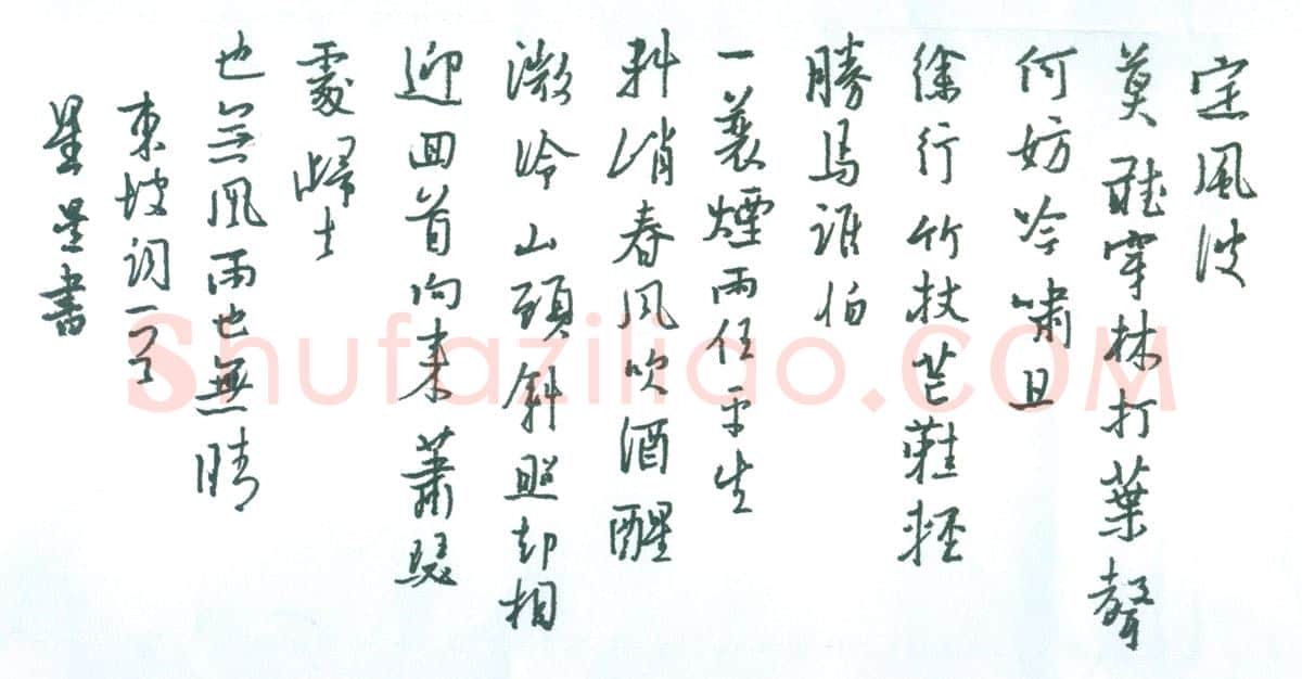 朱星星[行书东坡词一首］,朱星星硬笔书法作品