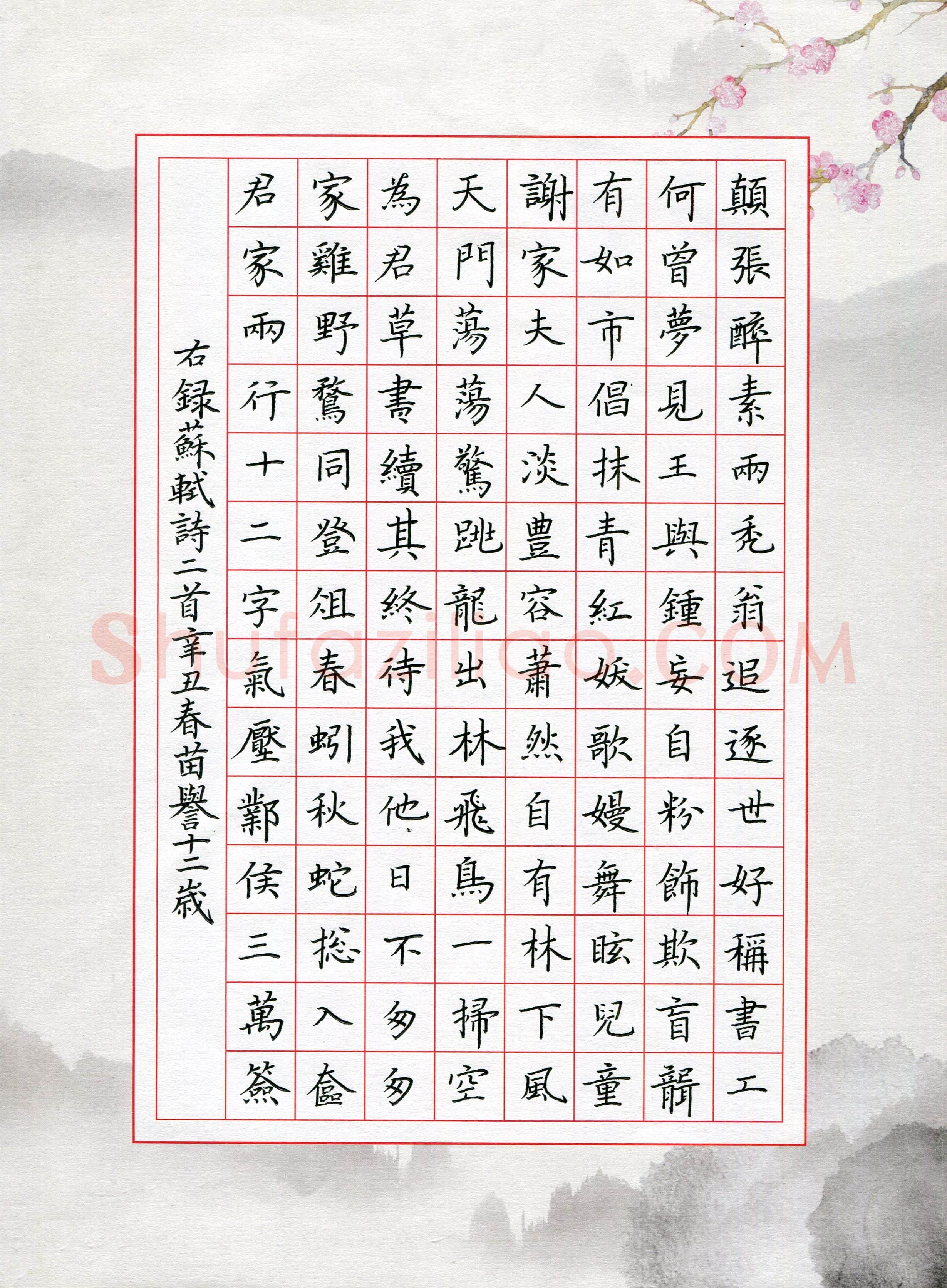 苗誉(少儿组 12岁 特等奖)硬笔书法大赛获奖作品,苗誉硬笔书法作品
