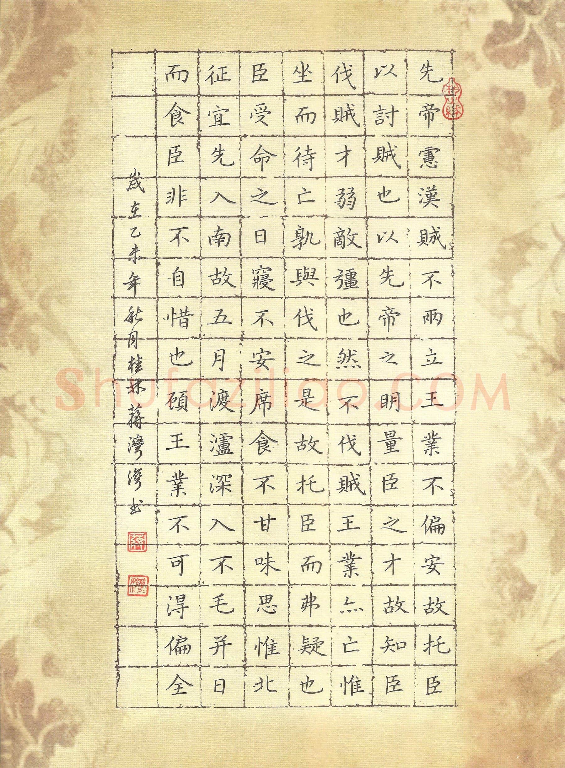 蒋湾湾硬笔楷书后出师表节录,蒋湾湾硬笔书法作品